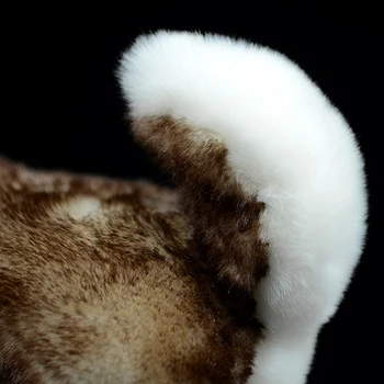 Simulación de Perro Muñeca Linda Brown Husky Siberiano Suave de la Vida Real Canis lupus familiaris Animal de Peluche de Juguete de Felpa Modelo Para los Niños Regalo