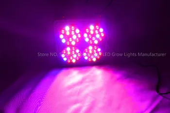 Regulable Apolo LED crecen la luz de espectro total de 10 bandas de 300W 600W 1500W interior el crecimiento de la planta de la lámpara crecer tienda