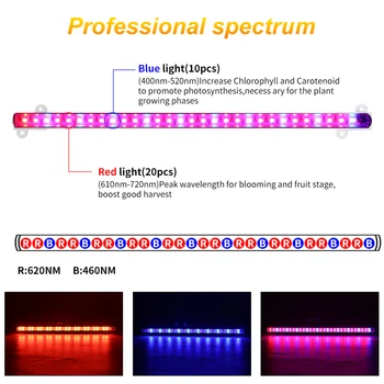 60 LED Crecen la Luz Roja/azul de Doble Planta de tubos de Luz LED de la Barra de la Lámpara Para Plantas de Alta Eficiencia Luminosa Crecer Tienda de Invernaderos de Flores