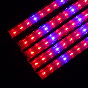 Fitolamp Espectro Completo LED Crecen la Lámpara 5730 lámparas de plantas led de flores de Invernadero de Hidroponía Sistema de fito lámparas de la tienda