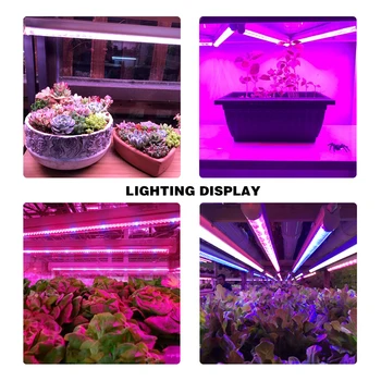 Fitolamp Espectro Completo LED Crecen la Lámpara 5730 lámparas de plantas led de flores de Invernadero de Hidroponía Sistema de fito lámparas de la tienda