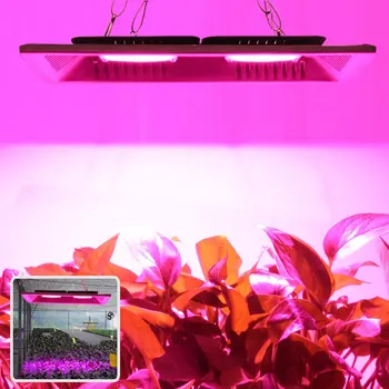El LED crece la Luz de la MAZORCA de Espectro Completo IP67 resistente al agua 50W 100W 150W Crecer LED Para Crecer Tienda de campaña o Otdoor el Crecimiento de las Plantas.