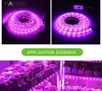 USB Phytolamps para las Plantas de 5V LED Crecen la Luz de Tira 2835 Chip 1m 2m 3m LED Fito Cinta para Hidropónico en Invernadero de Plántulas de Crecimiento