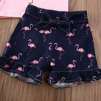 2020 de Verano de la Muchacha de la Ropa Niño Niña Flamingo Tops T-shirt, pantalones Cortos Pantalones Trajes juego de Ropa de 0-4T