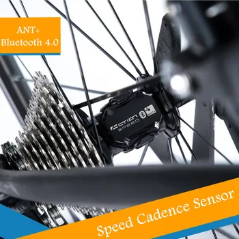 La acción del Equipo Velocímetro ANT+ de Velocidad Y Sensor de Cadencia para Bicicleta de Velocidad Y de Cadencia Ant+ Adecuada Para GARMIN iGPSPORT Bryton XOSS